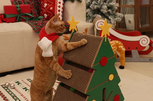Cat Christmas Tree Scratcher: Festive Holiday Fun