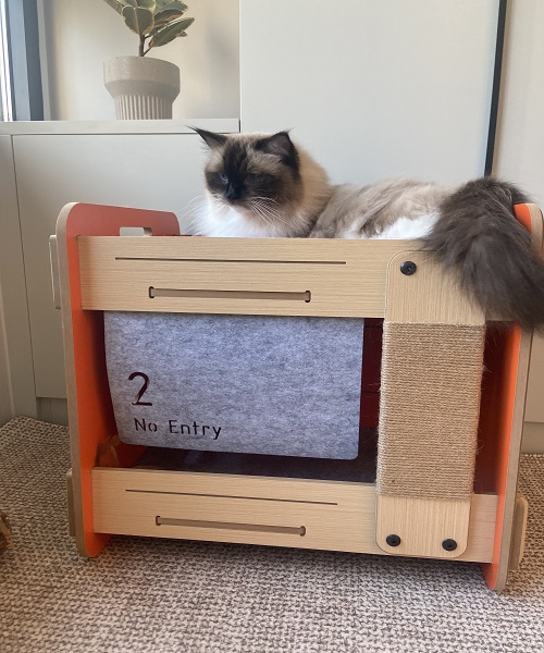 Cat Scratching Post With Bed On Top-Cat Bunk Bed