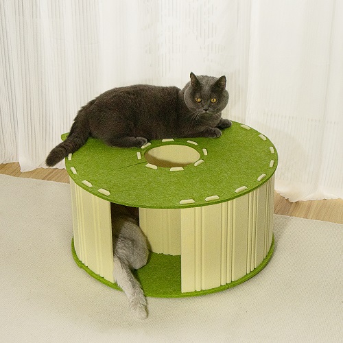 Cat Scratching House-Circle and Colorful 