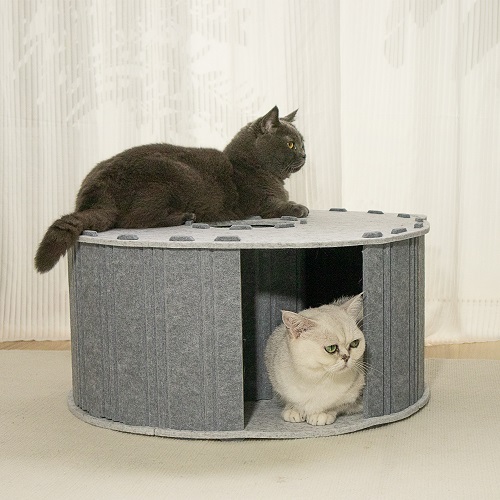 Cat Scratching House-Circle and Colorful 