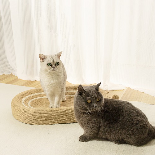 Cat Sisal Scratcher with Cat Runway