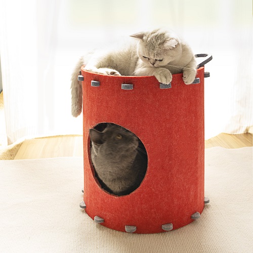 DIY Cola Bucket Cat House And Scratching Post