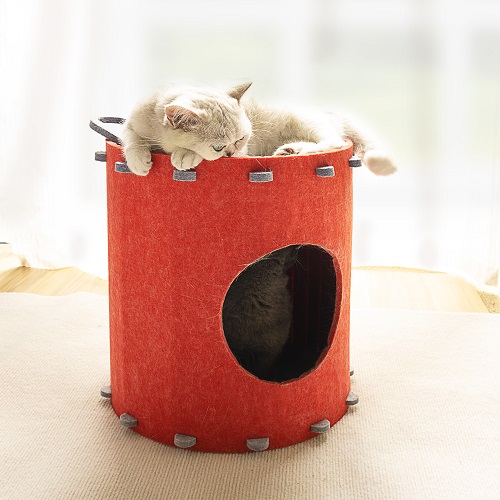 DIY Cola Bucket Cat House And Scratching Post
