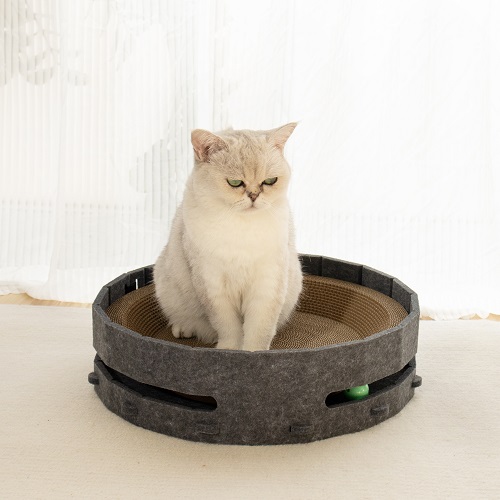 Oval Track Cat Scratcher With Ball
