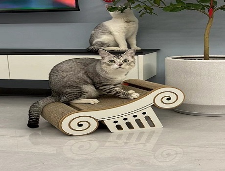 How to Choose the Perfect Cat Scratcher?
