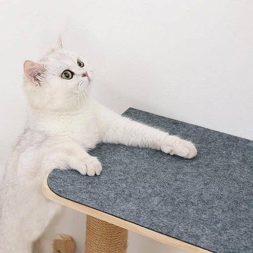 How To Maintain and Clean Your Cat Scratcher?