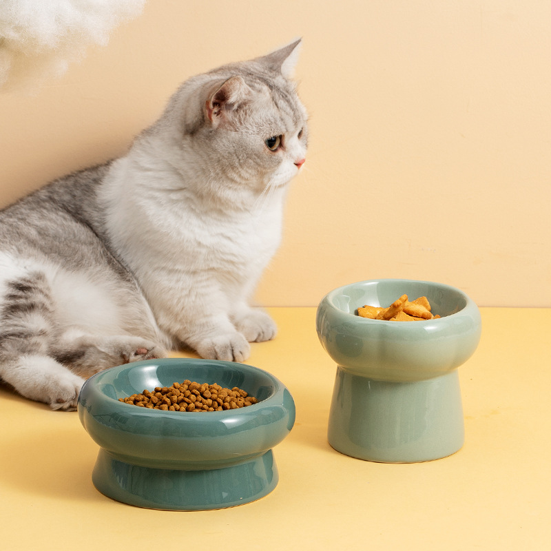 Petal Ceramic Cat Bowl - Elegant Feeding Bowls for Pets