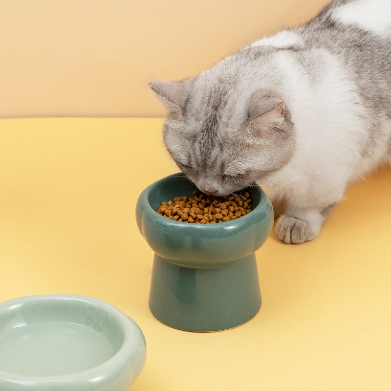 Petal Ceramic Cat Bowl - Elegant Feeding Bowls for Pets