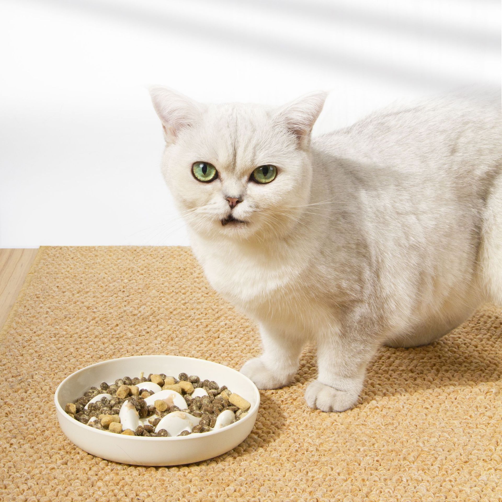 Goldfish Slow Feeder Cat Bowl - Anti-Choke and Spill-Resistant Design 