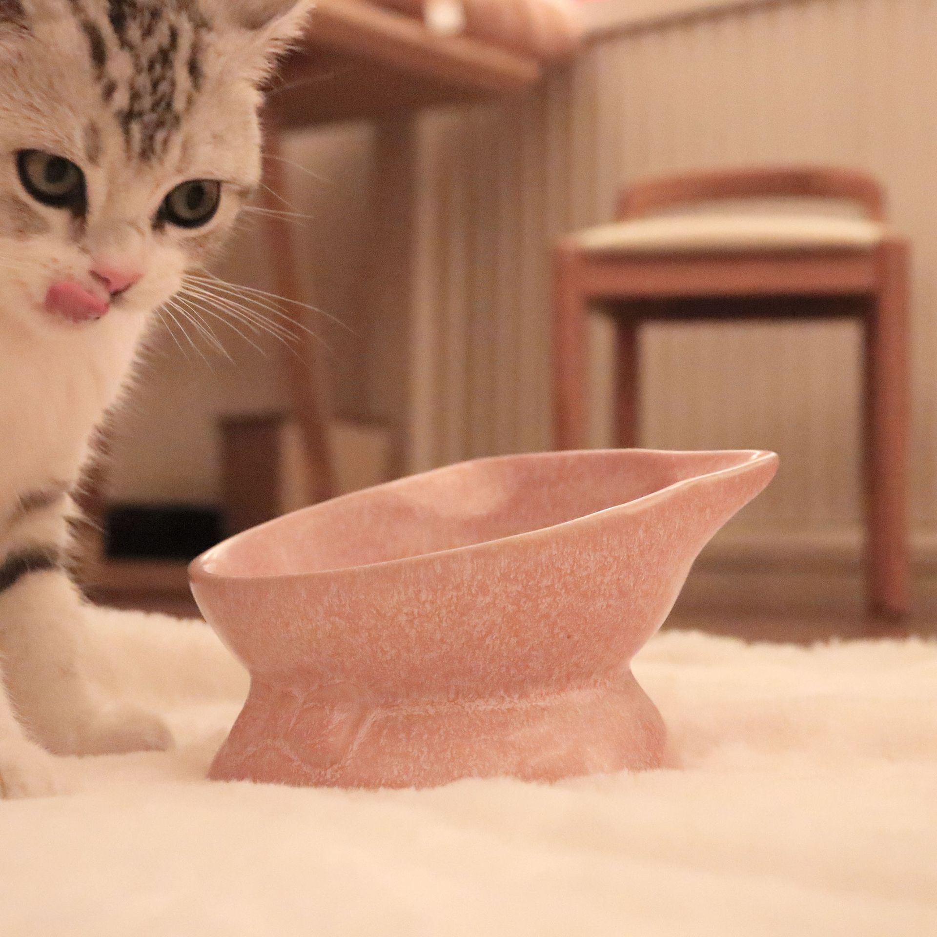 Elevated Tilted Ceramic Cat Bowl - Ergonomic Feeding Solution for Medium and Small Cats