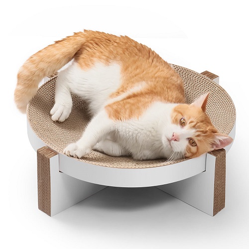 cat playing with Cat Scratcher