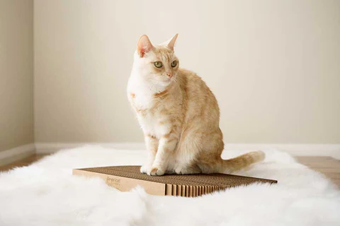 How Can Cat Scratchers Attract More Potential Customers?
